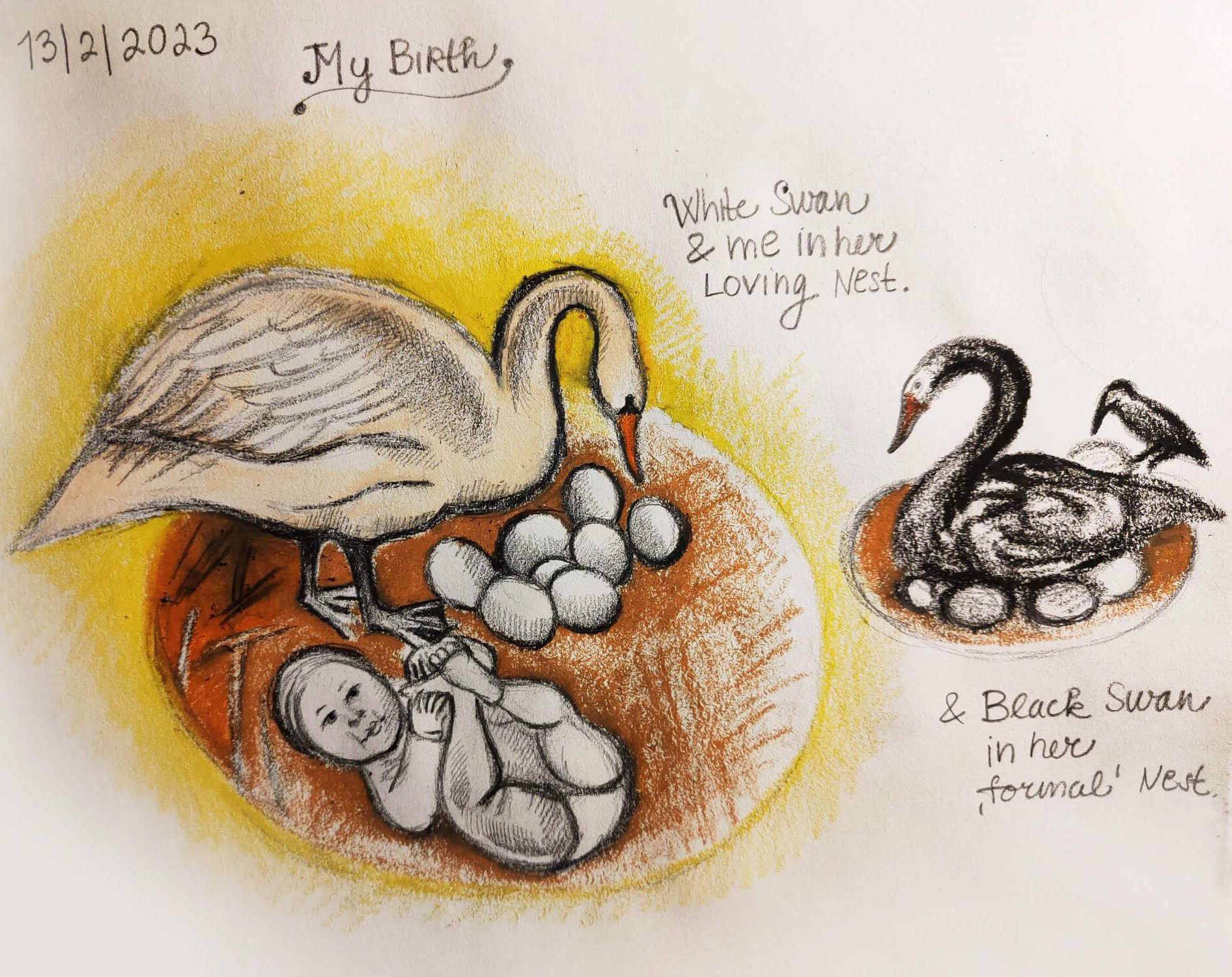 White and black swan drawing