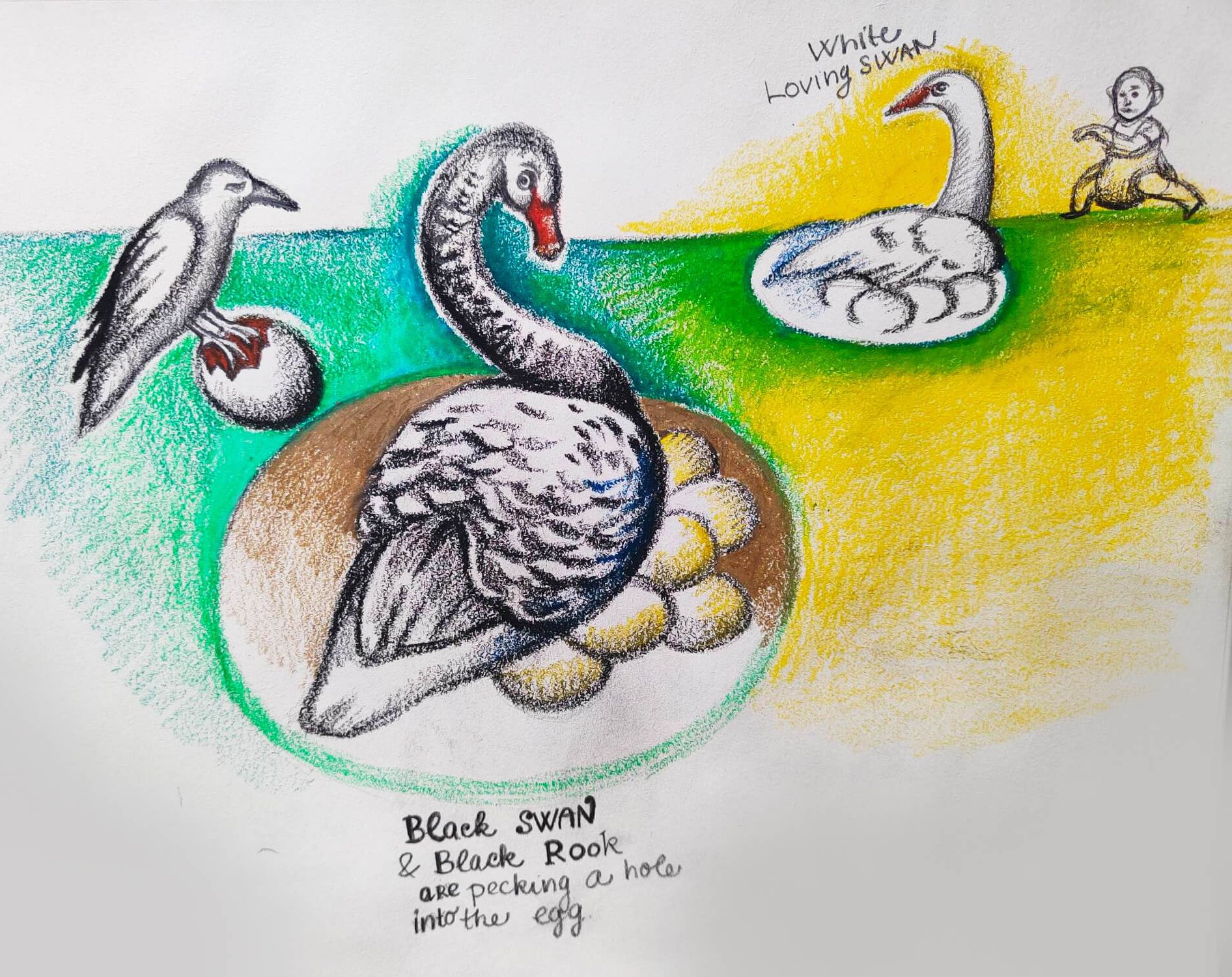 White and black swan drawing 3