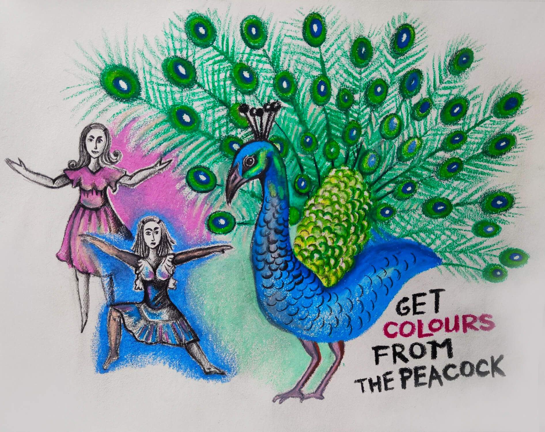 Get colours from the peacock drawing
